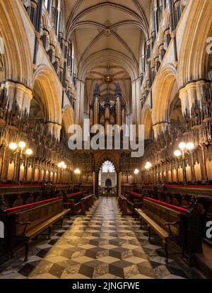 Beverley Minster dans la circonscription est du Yorkshire Banque D'Images