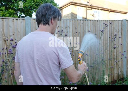 Londres, Royaume-Uni, 11th août 2022. Un homme utilise un tuyau d'arrosage pour arroser les parterres lors d'une soirée d'été car une sécheresse est susceptible d'être déclarée vendredi par l'Agence environnementale (EA) après un manque de précipitations et une prévision à long terme du temps sec. Les compagnies d'eau peuvent décider individuellement de mettre en œuvre des restrictions et Thames Water a annoncé une interdiction d'hosepipe "dans les semaines à venir" pour des utilisations non essentielles telles que le remplissage d'une pataugeoire, le lavage de voitures et l'arrosage de jardins. Crédit : onzième heure Photographie/Alamy Live News Banque D'Images