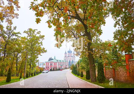 La ruelle du parc d'automne avec une vue sur le monastère St Panteleimon dans le brouillard, Kiev, Ukraine Banque D'Images