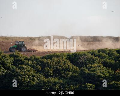 Météo au Royaume-Uni, Crantock, Cornwall, Royaume-Uni. Un agriculteur lève de grands nuages de poussière de son sol aride alors qu'il cultive le sol aride dans l'espoir d'être capable de semer des cultures. L'Agence pour l'environnement se réunit vendredi pour décider si les conditions de sécheresse de l'utilisation de l'eau devraient être introduites dans le sud-ouest de l'Angleterre. 11th août 2022. Robert Taylor Alamy Live News Banque D'Images