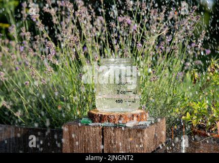 Jauge d'eau de pluie faite à la main en pot de verre, mesurant la pluie dans le jardin de la maison. Pluie à l'extérieur dans le jardin. Également connu sous le nom d'udomètre, pluvia métior. Banque D'Images