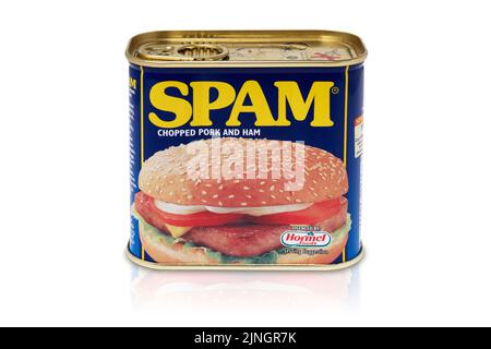 Boîte de Spam hachée de porc et de viande de jambon. Studio sur découpe blanche Banque D'Images