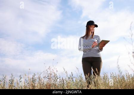 Les technologies modernes dans l'agriculture, femme d'affaires agriculteur avec un ordinateur tablette dans ses mains travaille dans le champ de blé, vérifie la récolte de grain. Agriculture, g Banque D'Images