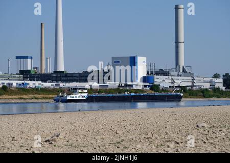 Cologne, Allemagne 11 août 2022: La Ford Motor Company à cologne à des niveaux d'eau bas sur le rhin Banque D'Images