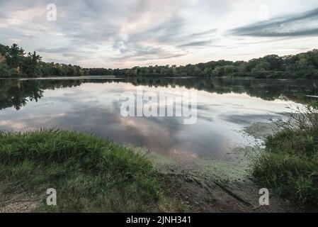 Sunrise River en soirée au coucher du soleil au parc du comté de Kost Dam à la fin de l'été à North Branch, Minnesota, États-Unis. Banque D'Images