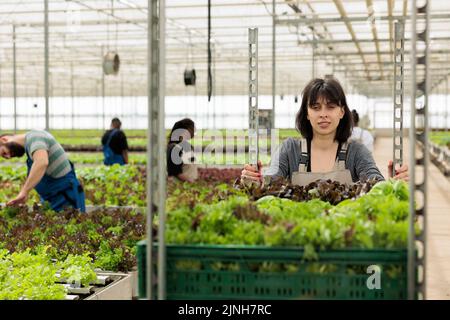 Portrait d'une femme souriante travaillant en serre en train de pousser des caisses avec des bio-aliments locaux issus de sources durables. Un travailleur caucasien prépare la livraison des légumes pour le magasin local. Banque D'Images