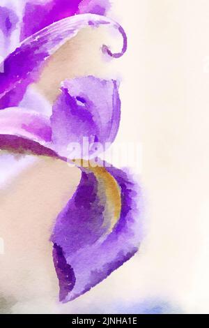 Romantique fleur aquarelle peinture gros plan de fleurs de l'iris violet. Banque D'Images