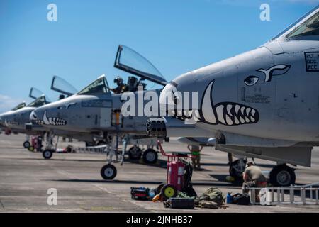 Les avions Thunderbolt II a-10 du groupe de chasseurs 924th de la base aérienne Davis-Monthan, Arizona, se préparent à prendre le décollage en soutien du RIMPAC 22 à la base des corps maritimes d'Hawaï 25 juillet 2022. Vingt-six nations, 38 navires, trois sous-marins, plus de 170 avions et 25 000 membres du personnel - y compris les aviateurs du 624 RSG - participent à la #RIMPAC2022 de 29 juin à août 4 dans et autour des îles hawaïennes et de la Californie du Sud. Le plus grand exercice maritime international au monde, RIMPAC offre une occasion de formation unique tout en favorisant et en soutenant des relations de coopération Banque D'Images