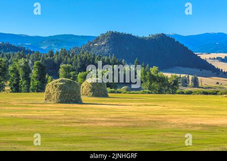 haystacks dans la vallée de l'avon près d'avon, montana Banque D'Images