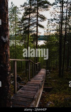 Un chemin en bois étroit dans une forêt menant vers un lac entouré d'arbres verts luxuriants par une journée ensoleillée Banque D'Images