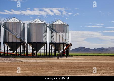 trois grands silos à céréales sur une ferme de blé Banque D'Images