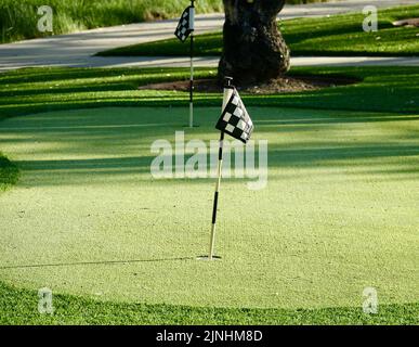 drapeau de golf à carreaux sur un mini-golf Banque D'Images