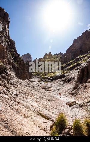 Un homme randonnée Siphon Draw dans Lost Dutchman State Park, Arizona, Etats-Unis. Banque D'Images