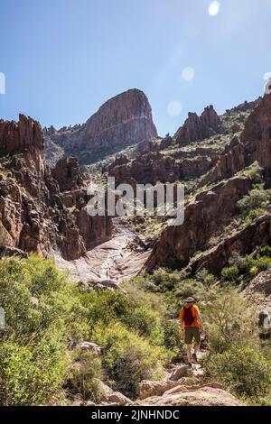 Les gens qui font de la randonnée à Siphon attirent dans le parc national Lost Dutchman, Arizona, États-Unis. Banque D'Images