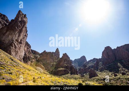 Les personnes qui font la randonnée sur le sentier Siphon Draw Trail sous des formations rocheuses abruptes avec des fleurs jaunes sur les collines tout autour dans Lost Dutchman State Park, Arizona, États-Unis. Banque D'Images