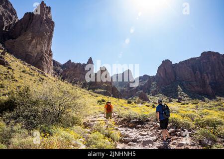 Deux hommes randonnée dans le parc national Lost Dutchman, Arizona, États-Unis. Banque D'Images