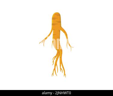 Illustration détaillée et lumineuse du Ginseng Illustration de Vecteur