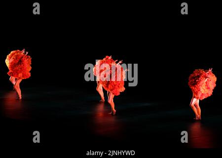 Vérone, Italie. 11th août 2022. Momix pendant MOMIX - Retour à Momix, Théâtre de Vérone, Italie, 11 août 2022 crédit: Agence de photo indépendante/Alamy Live News Banque D'Images