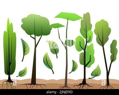 Semis de jeunes arbres avec racines. Plantes de jardin. Plantations de fruits. Isolé sur fond blanc. Bordure de composition horizontale inférieure. Vecteur Illustration de Vecteur