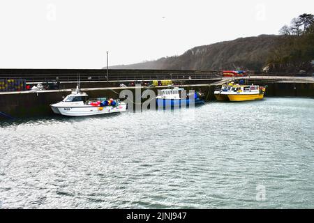 Vue sur le port de Saundersfoot à marée haute en hiver. Ici, les bateaux de pêche sont amarrés dans l'abri du mur du port. Banque D'Images