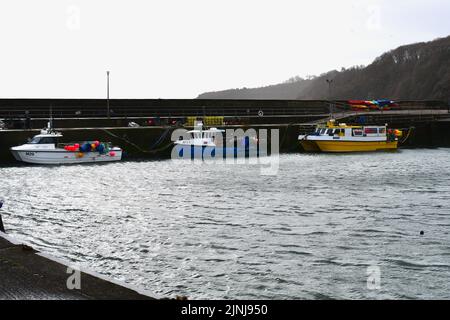 Vue sur le port de Saundersfoot à marée haute en hiver. Ici, les bateaux de pêche sont amarrés dans l'abri du mur du port. Banque D'Images