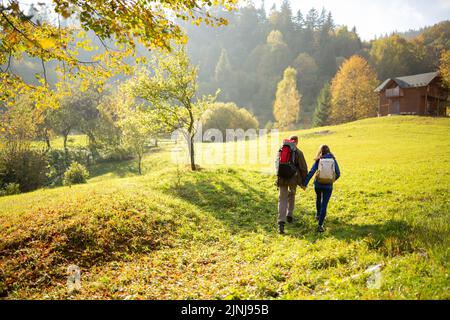 Vue arrière de deux jeunes randonneurs avec des sacs à dos tenant les mains et en haut d'une colline de montagne par une journée ensoleillée. Guy et fille s'amusent sur la randonnée. Concept de trekki Banque D'Images