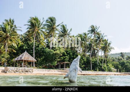 Une cabane à la plage sur fond de palmiers et une statue de dauphin Banque D'Images