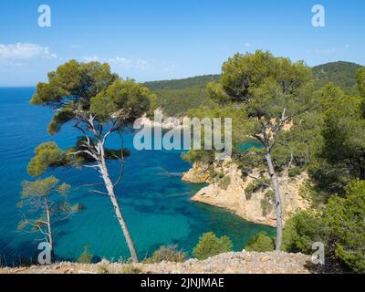 Bandol, France - 16 mai 2022: Petites baies rocheuses sous les forêts de pins en face de la mer bleu profond. Banque D'Images