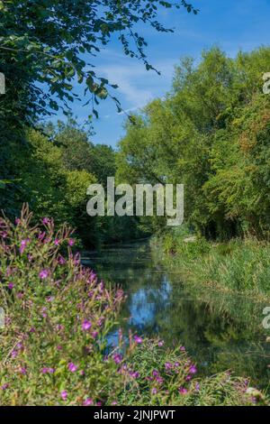 Basingstoke Canal à Odiham Hampshire en été. Banque D'Images