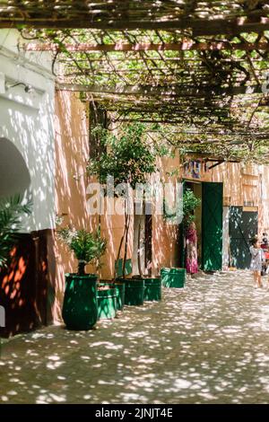 Un cliché vertical de plantes de rue étroites et d'ombres à Marrakech au maroc Banque D'Images