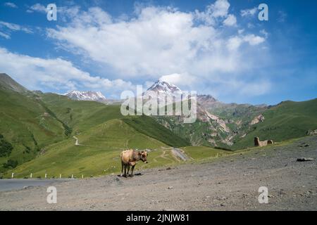 Mont Kazbek (5,047 m) en Géorgie Banque D'Images