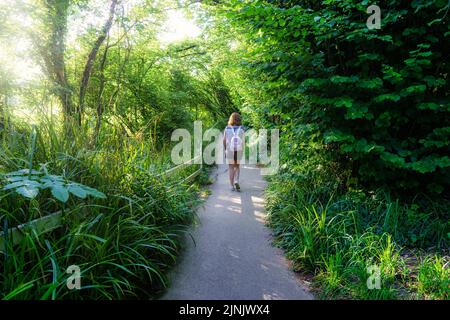 Femme de derrière marchant le long d'un chemin de forêt au coucher du soleil. Banque D'Images
