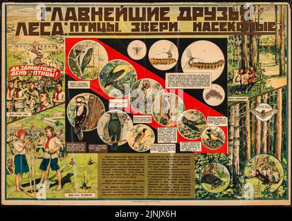 Forêts - oiseaux, animaux, insectes (1931). Affiche éducative russe Banque D'Images