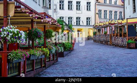 Rue pavée avec bancs en bois et fleurs à Tallinn Estonie. Banque D'Images