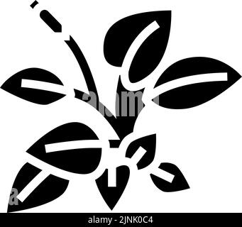 illustration vectorielle d'icône de glyphe anubia nana Illustration de Vecteur