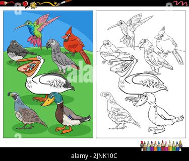 Dessin animé illustration de la page de coloriage des personnages animaux d'oiseaux Illustration de Vecteur