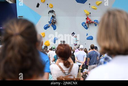 Munich, Allemagne. 12th août 2022. Championnats d'Europe, Championnat d'Europe, escalade, lead, hommes, Qualification, Königsplatz. Les spectateurs suivent la qualification. Credit: Angelika Warmuth/dpa/Alamy Live News Banque D'Images