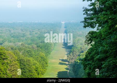 France, Oise, Picardie, Compiegne, Forêt de Compiegne, Beaux Monts Alley // France, Oise (60), Picardie, Compiègne, forêt domaniale de Compiègne, l'allée Banque D'Images