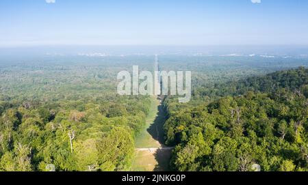 France, Oise, Picardie, Compiegne, Forêt de Compiegne, Allée des Beaux Monts (vue aérienne) // France, Oise (60), Picardie, Compiègne, forêt domaniale de COM Banque D'Images