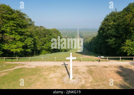 France, Oise, Picardie, Compiegne, Forêt de Compiegne, Le belvédère des Beaux-Monts et l'allée des Beaux-Monts (vue aérienne) // France, Oise (60), Picardie, Banque D'Images