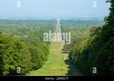 France, Oise, Picardie, Compiegne, Forêt de Compiegne, Beaux Monts Alley // France, Oise (60), Picardie, Compiègne, forêt domaniale de Compiègne, l'allée Banque D'Images