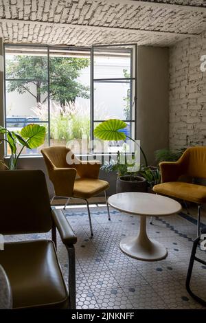 salle, avec deux fauteuils jaunes et une table au centre, fenêtre avec pots et plantes, lumière naturelle Banque D'Images