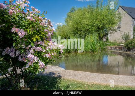 Étang dans le village de Chédigny, jardin Remarquable au printemps, Indre et Loire, France Banque D'Images