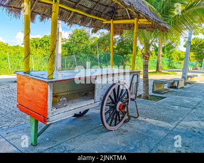 Boutique de jus d'orange tropical sur roulettes à Playa del Carmen Mexique Banque D'Images