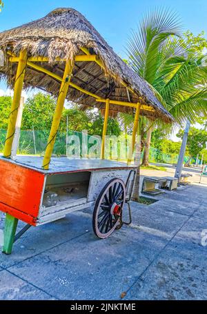 Boutique de jus d'orange tropical sur roulettes à Playa del Carmen Mexique Banque D'Images