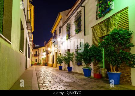 Allée pittoresque avec maisons anciennes, pots de fleurs et fleurs dans une atmosphère nocturne. Cordoue Espagne. Banque D'Images