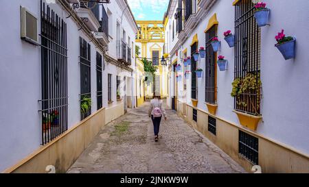 Femme marchant dans les rues étroites de Cordoue parmi les plantes et les fleurs en pots. Espagne. Banque D'Images