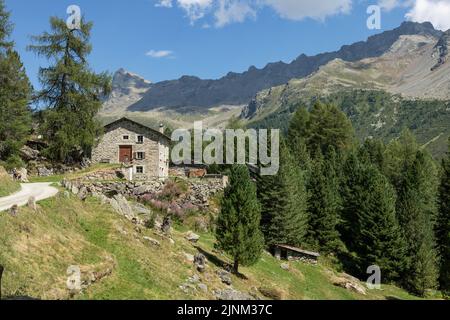 Maison suisse traditionnelle en pierre entre les montagnes et la forêt de pins par une journée ensoleillée Banque D'Images