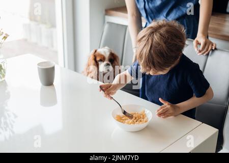 Vue de dessus d'un petit garçon mignon assis à une table blanche près de l'épagneul de chien et de mère femme dans la cuisine, manger des pâtes avec la fourchette. Banque D'Images