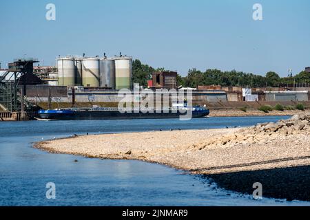 Rhin près de Duisburg, eau extrêmement basse, niveau du Rhin à 168 cm, tendance à la baisse, après la longue sécheresse la rive droite du Rhin, près de Duisburg-N Banque D'Images